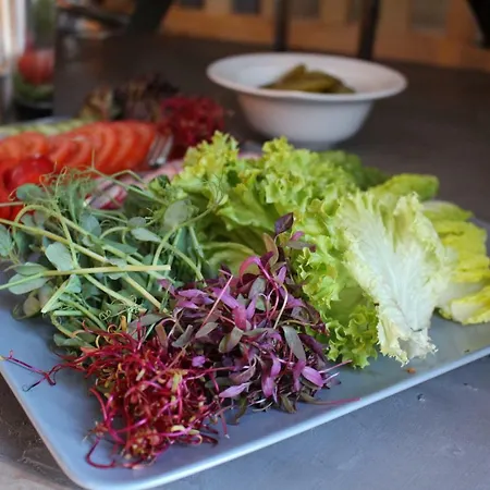 ホテル Mtj ポズナン